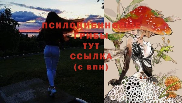 spice Алексин