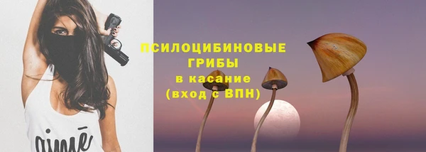прущий лед Алзамай