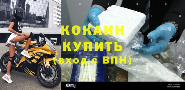 прущий лед Алзамай